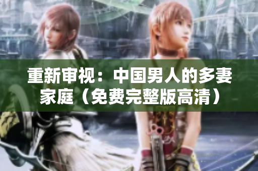 重新审视：中国男人的多妻家庭（免费完整版高清）