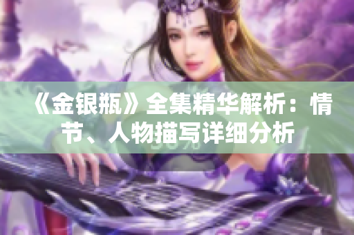 《金银瓶》全集精华解析：情节、人物描写详细分析
