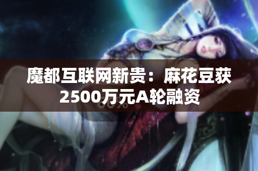 魔都互联网新贵：麻花豆获2500万元A轮融资