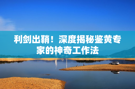 利剑出鞘！深度揭秘鉴黄专家的神奇工作法