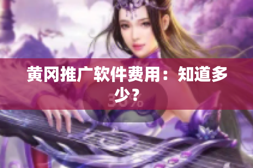 黄冈推广软件费用：知道多少？