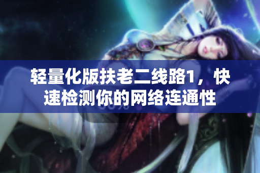 轻量化版扶老二线路1，快速检测你的网络连通性