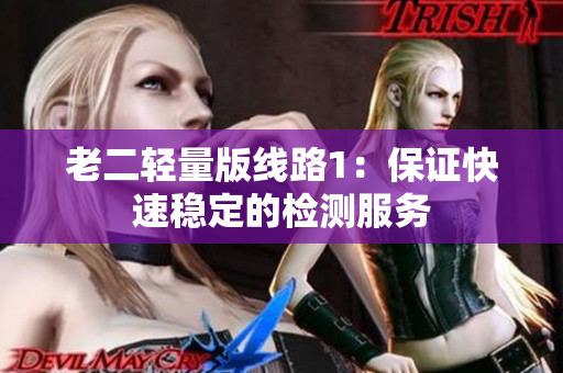 老二轻量版线路1：保证快速稳定的检测服务