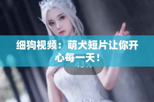 细狗视频：萌犬短片让你开心每一天！