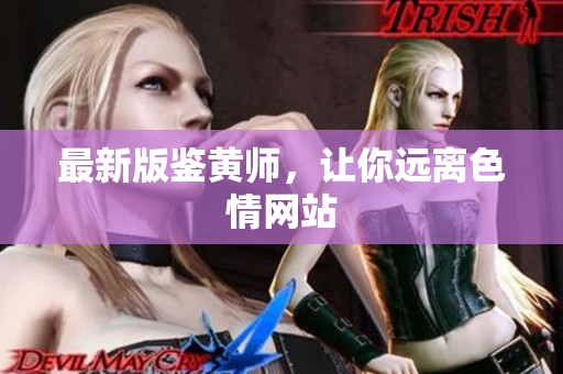 最新版鉴黄师，让你远离色情网站