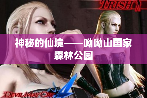 神秘的仙境——呦呦山国家森林公园
