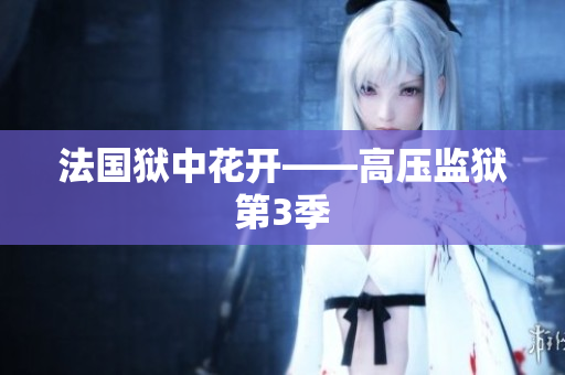 法国狱中花开——高压监狱第3季