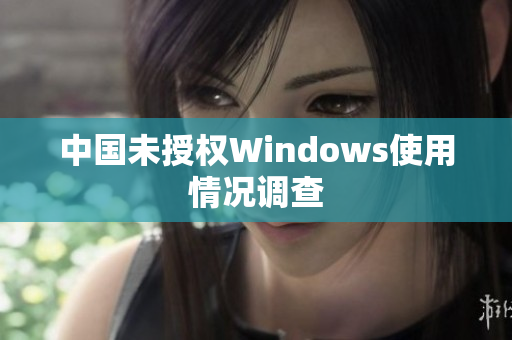 中国未授权Windows使用情况调查