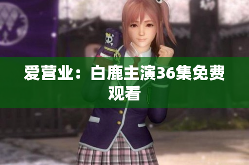 爱营业：白鹿主演36集免费观看