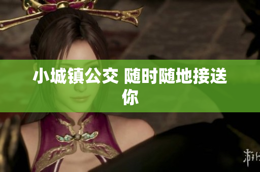 小城镇公交 随时随地接送你