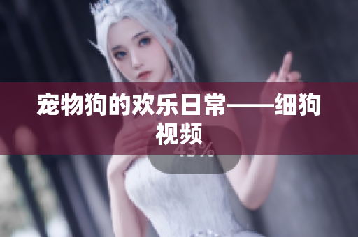 宠物狗的欢乐日常——细狗视频