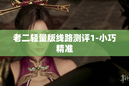 老二轻量版线路测评1-小巧精准