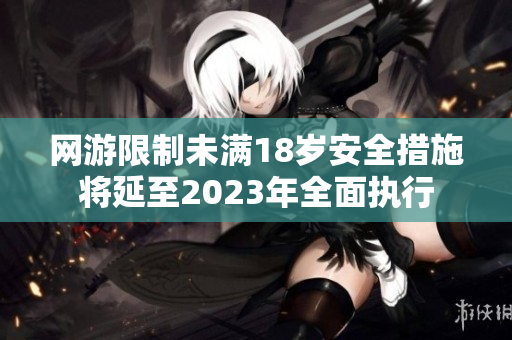 网游限制未满18岁安全措施将延至2023年全面执行