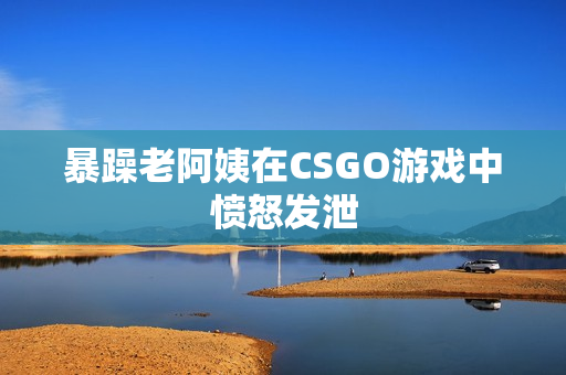 暴躁老阿姨在CSGO游戏中愤怒发泄