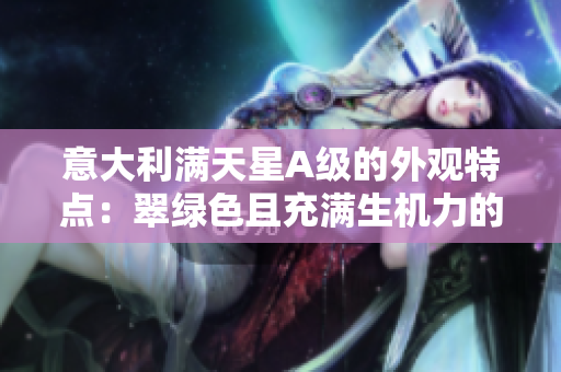 意大利满天星A级的外观特点：翠绿色且充满生机力的花朵。