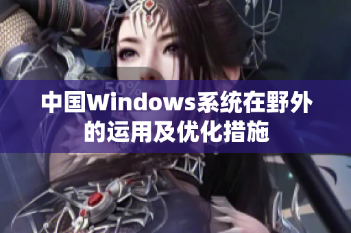 中国Windows系统在野外的运用及优化措施