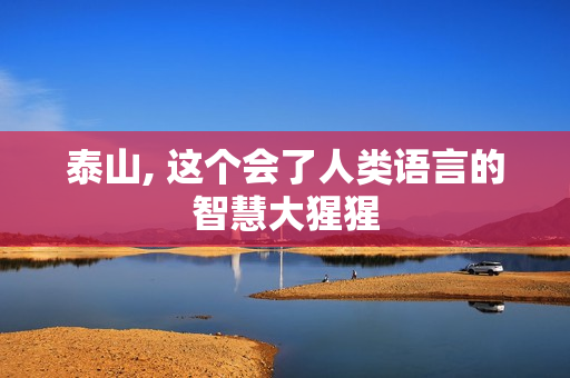 泰山, 这个会了人类语言的智慧大猩猩