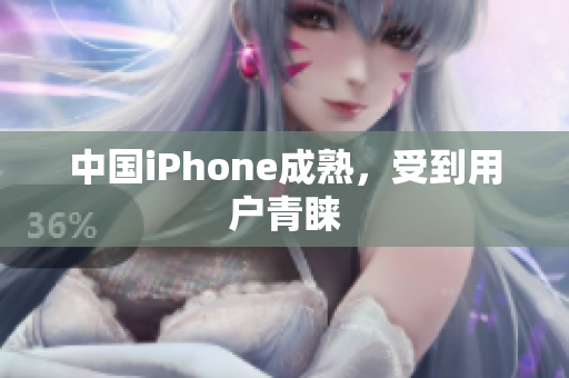 中国iPhone成熟，受到用户青睐