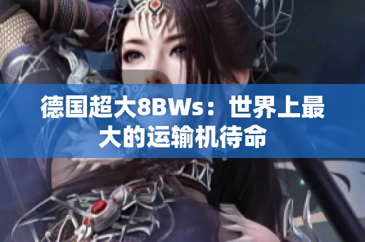 德国超大8BWs：世界上最大的运输机待命