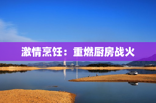 激情烹饪：重燃厨房战火