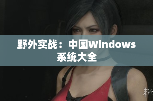 野外实战：中国Windows系统大全
