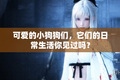 可爱的小狗狗们，它们的日常生活你见过吗？