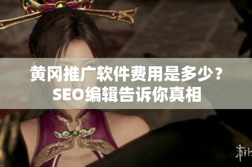 黄冈推广软件费用是多少？SEO编辑告诉你真相