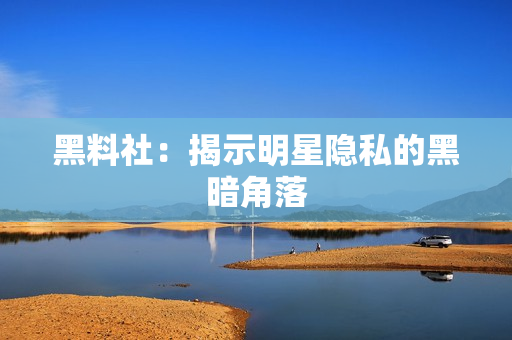黑料社：揭示明星隐私的黑暗角落
