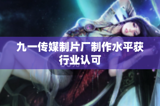 九一传媒制片厂制作水平获行业认可