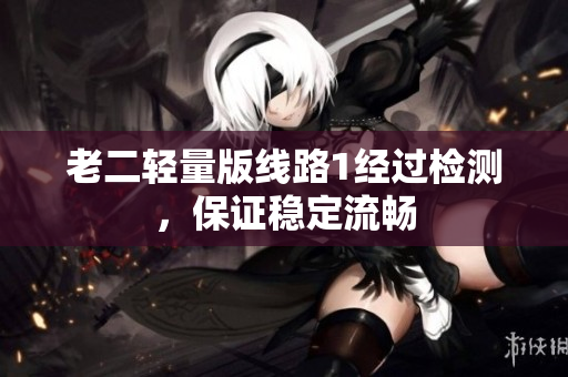 老二轻量版线路1经过检测，保证稳定流畅