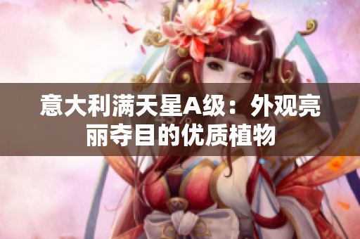 意大利满天星A级：外观亮丽夺目的优质植物