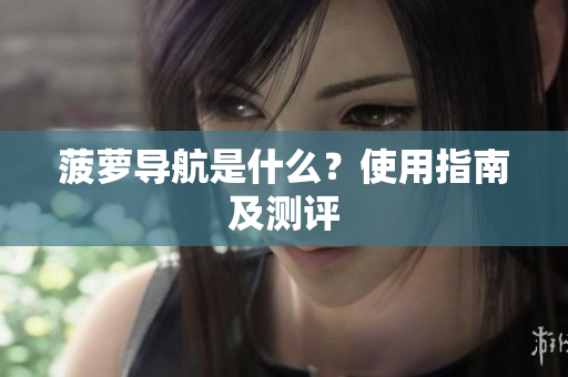 菠萝导航是什么？使用指南及测评