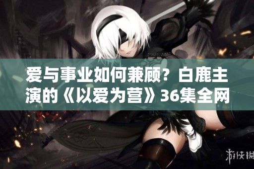 爱与事业如何兼顾？白鹿主演的《以爱为营》36集全网热播