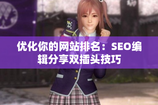 优化你的网站排名：SEO编辑分享双插头技巧