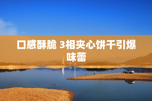 口感酥脆 3相夹心饼干引爆味蕾
