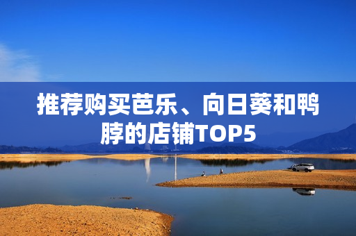 推荐购买芭乐、向日葵和鸭脖的店铺TOP5