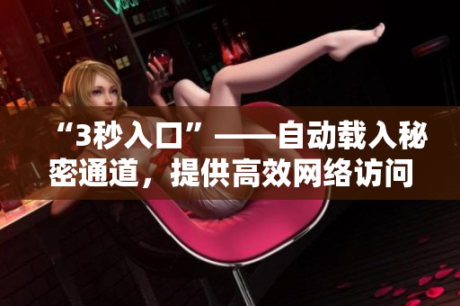 “3秒入口”——自动载入秘密通道，提供高效网络访问