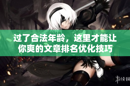 过了合法年龄，这里才能让你爽的文章排名优化技巧