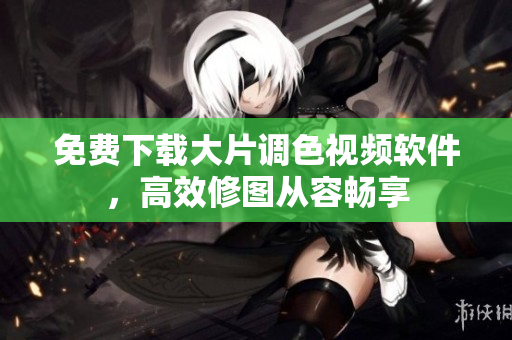 免费下载大片调色视频软件，高效修图从容畅享