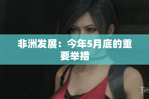 非洲发展：今年5月底的重要举措