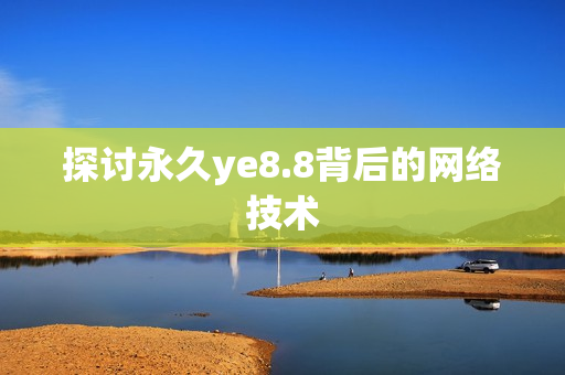 探讨永久ye8.8背后的网络技术