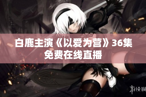 白鹿主演《以爱为营》36集免费在线直播