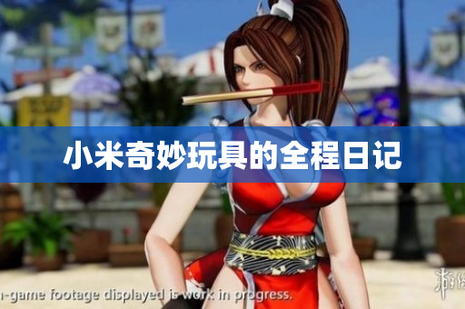 小米奇妙玩具的全程日记