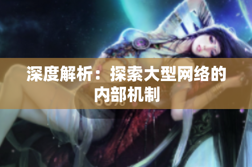 深度解析：探索大型网络的内部机制