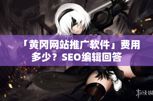 「黄冈网站推广软件」费用多少？SEO编辑回答