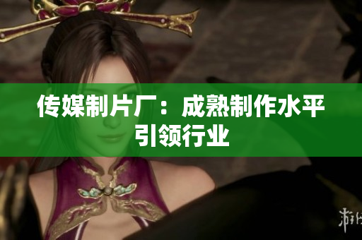 传媒制片厂：成熟制作水平引领行业
