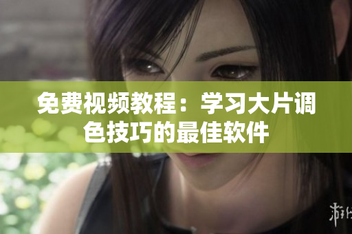 免费视频教程：学习大片调色技巧的最佳软件