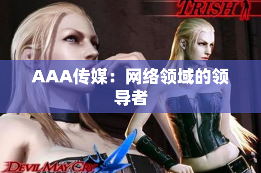 AAA传媒：网络领域的领导者