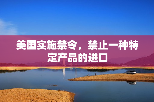 美国实施禁令，禁止一种特定产品的进口