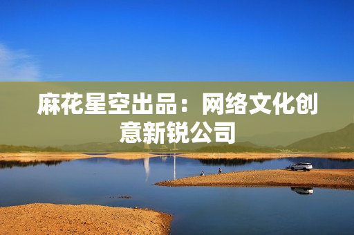 麻花星空出品：网络文化创意新锐公司